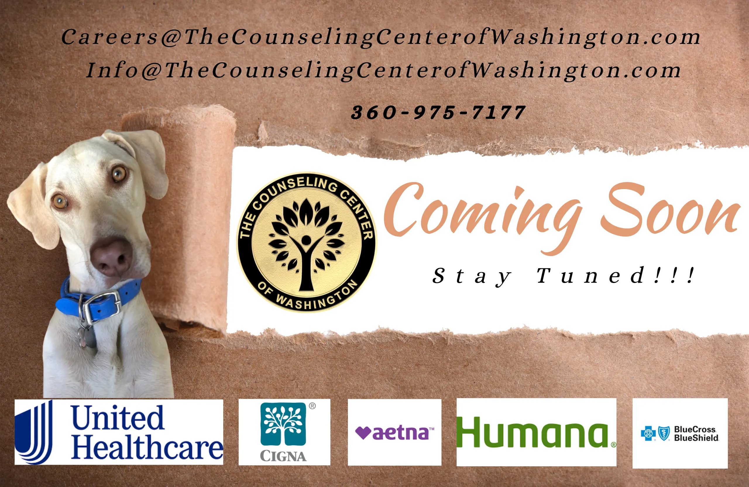 The Counseling Center of Washington Coming Soon!